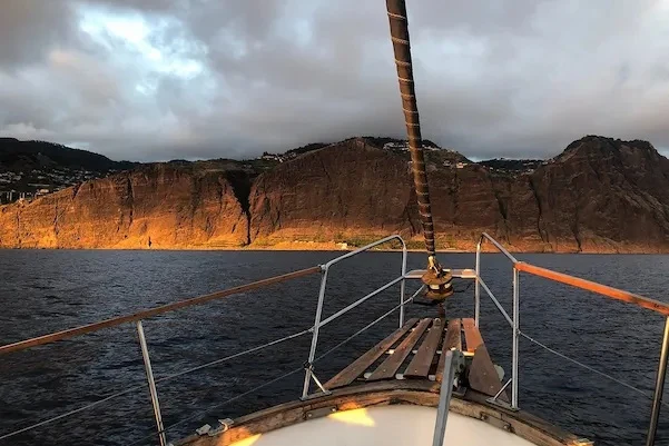 Gaviao Madeira