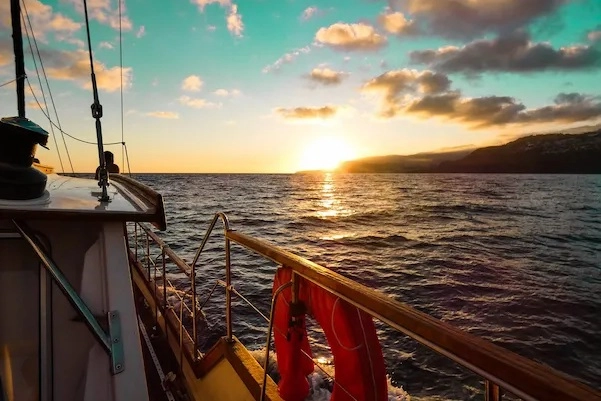 Gaviao Madeira Sunset