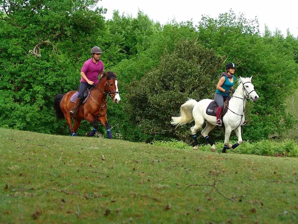 Horse Riding Madeira