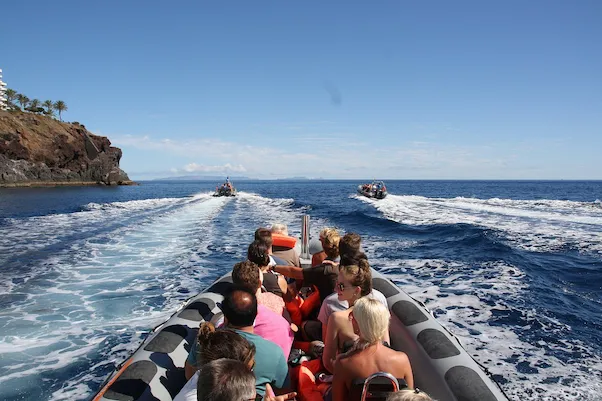 rota dos cetaceos 3