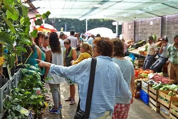 santo da serra market-1