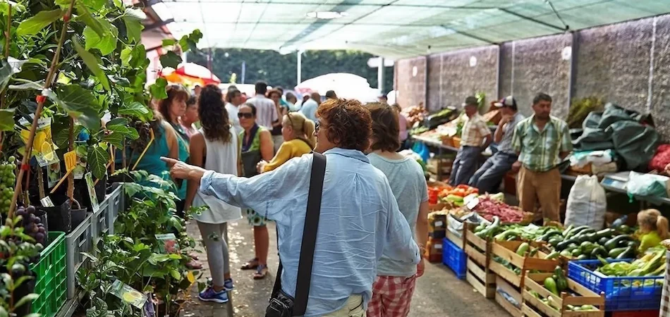 santo da serra market